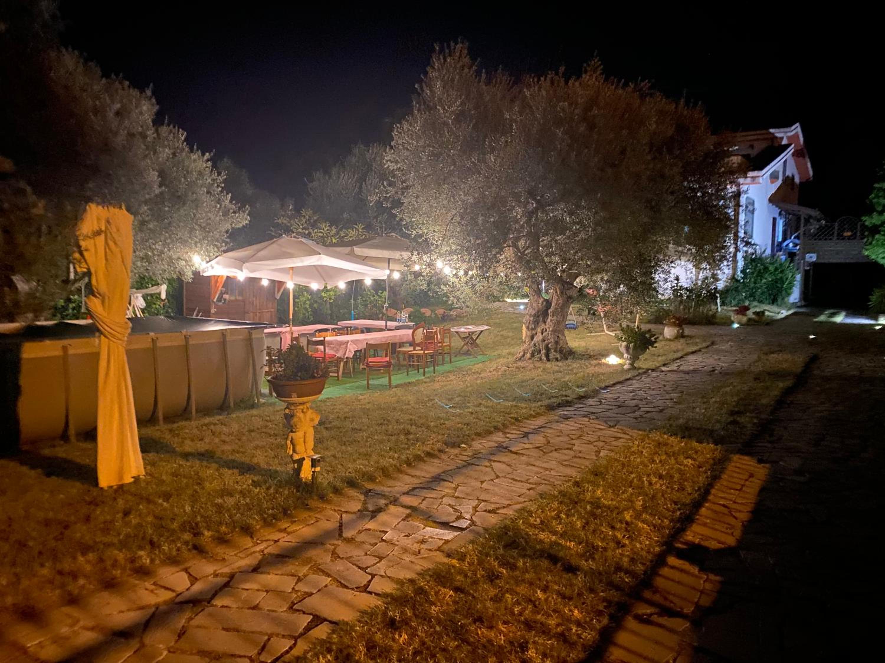 Villa Ulivi view 4