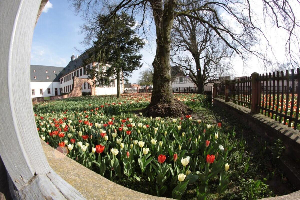 Altstadtglück Seligenstadt