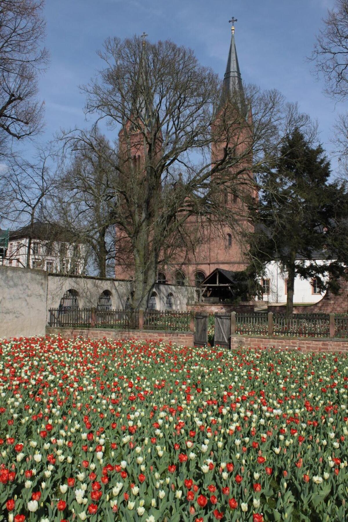 Altstadtglück Seligenstadt