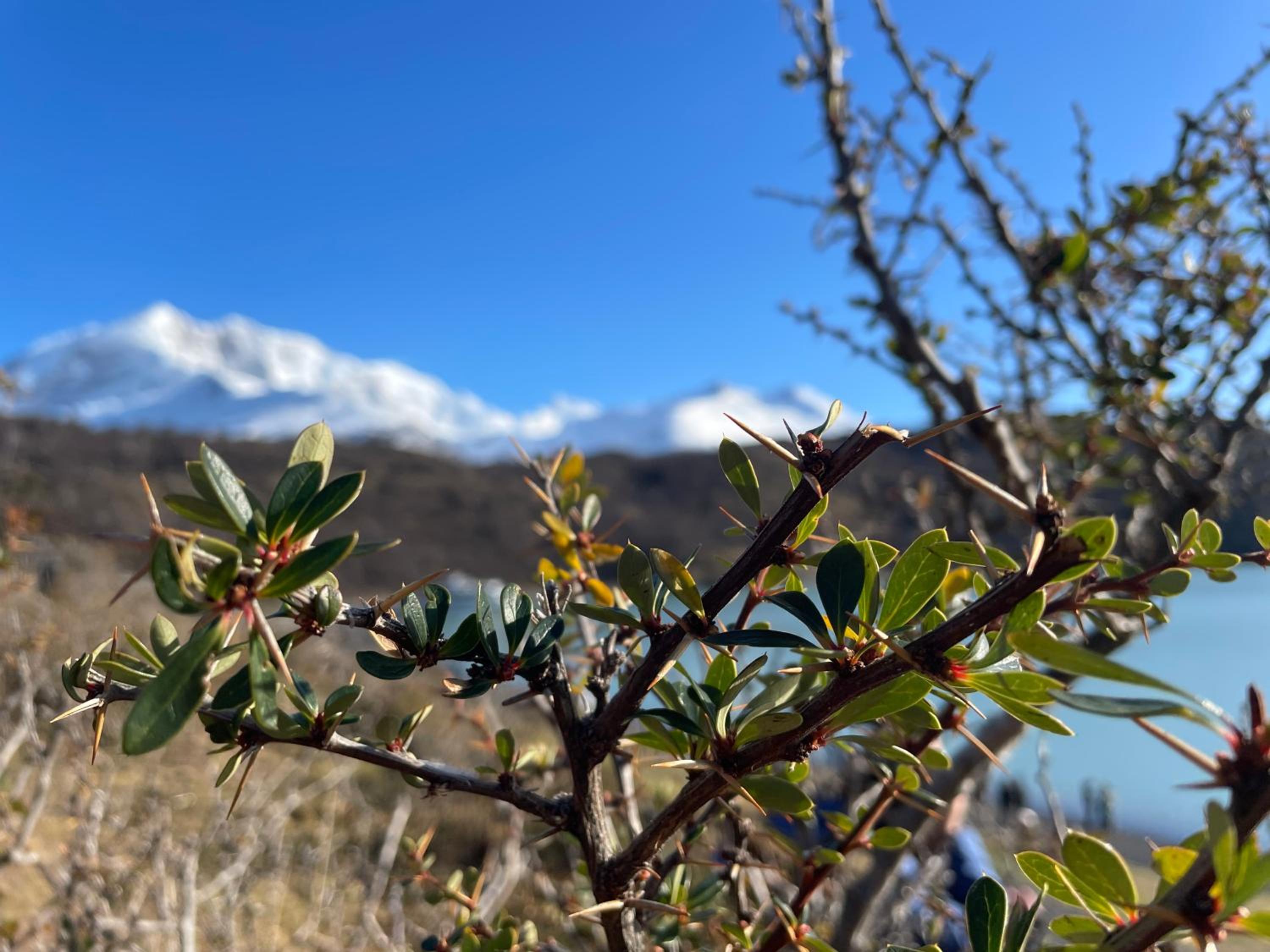 La Comarca Azul