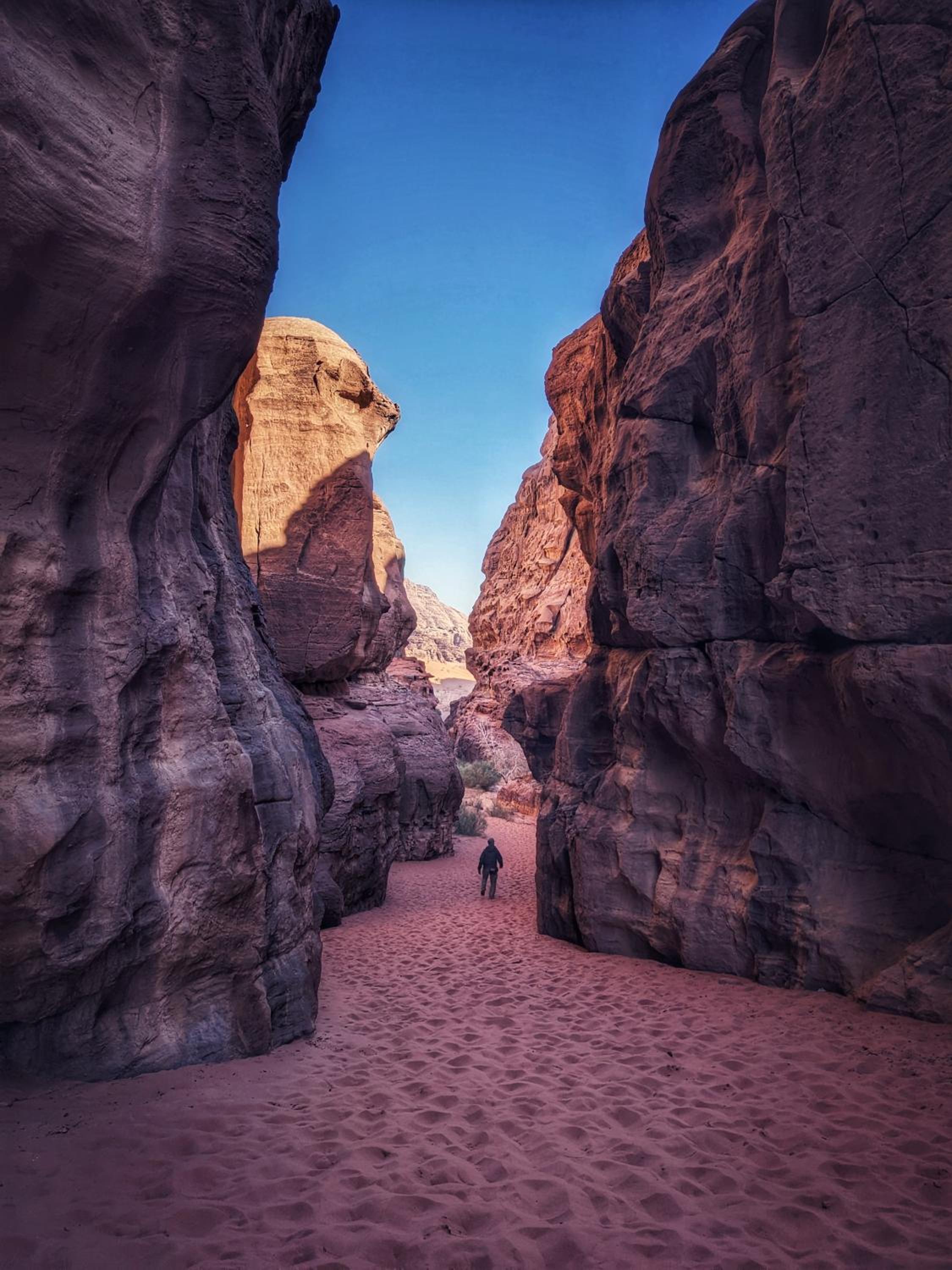 Wadi Rum Nature Stars Camp