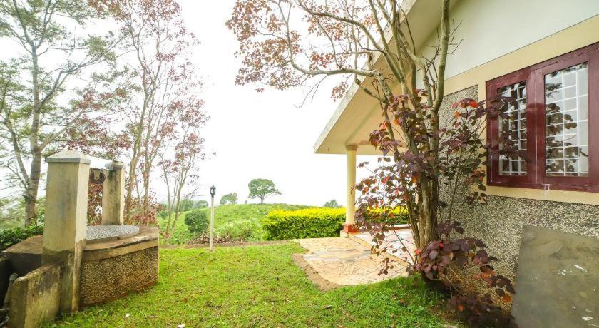 The Orange Home view 3