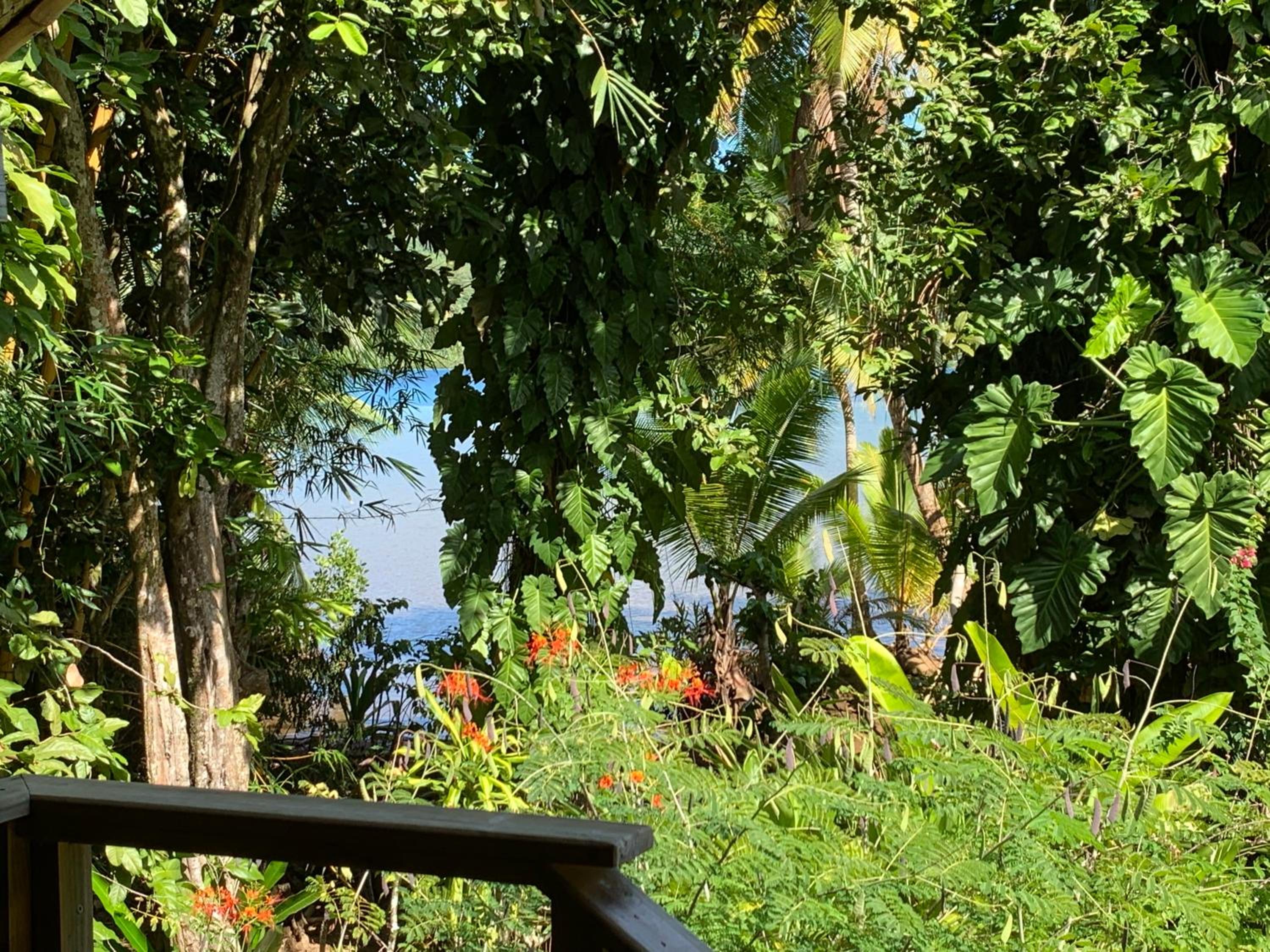 Pension TUPUNA