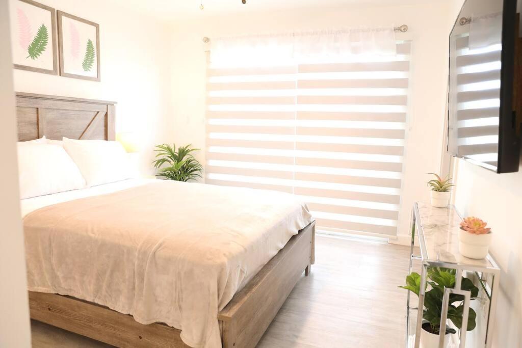 Insta Worthy Modern Bungalow view 4