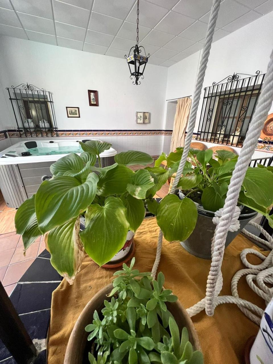 Photo 44