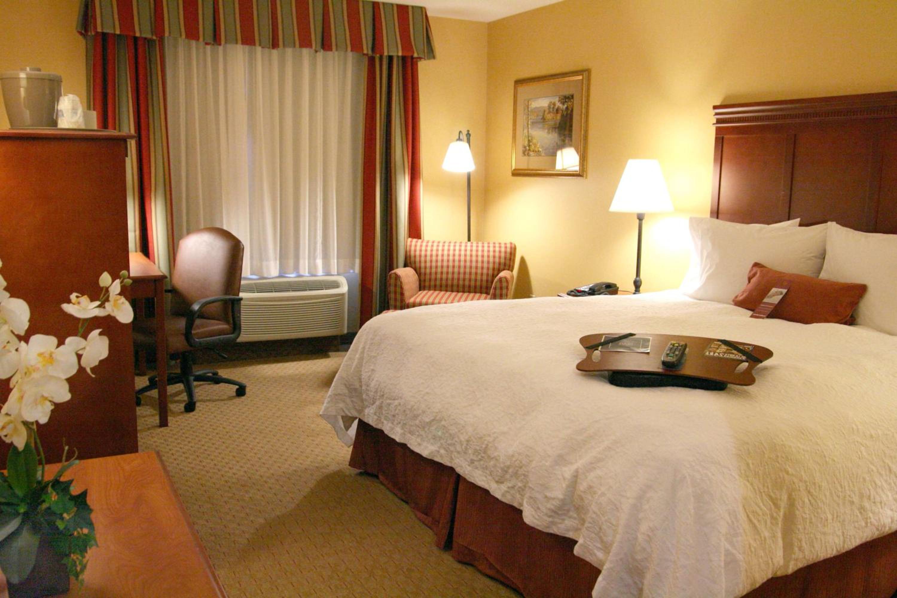 Burbank Vacations - Hampton Inn Suites Los Angeles Burbank Airport - Property Image 24