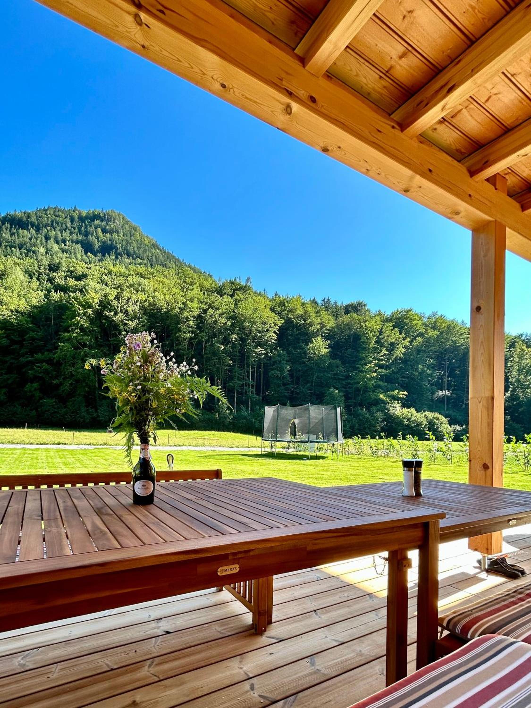 Das Grünhaus - Dein Chalet in Grünau im Almtal