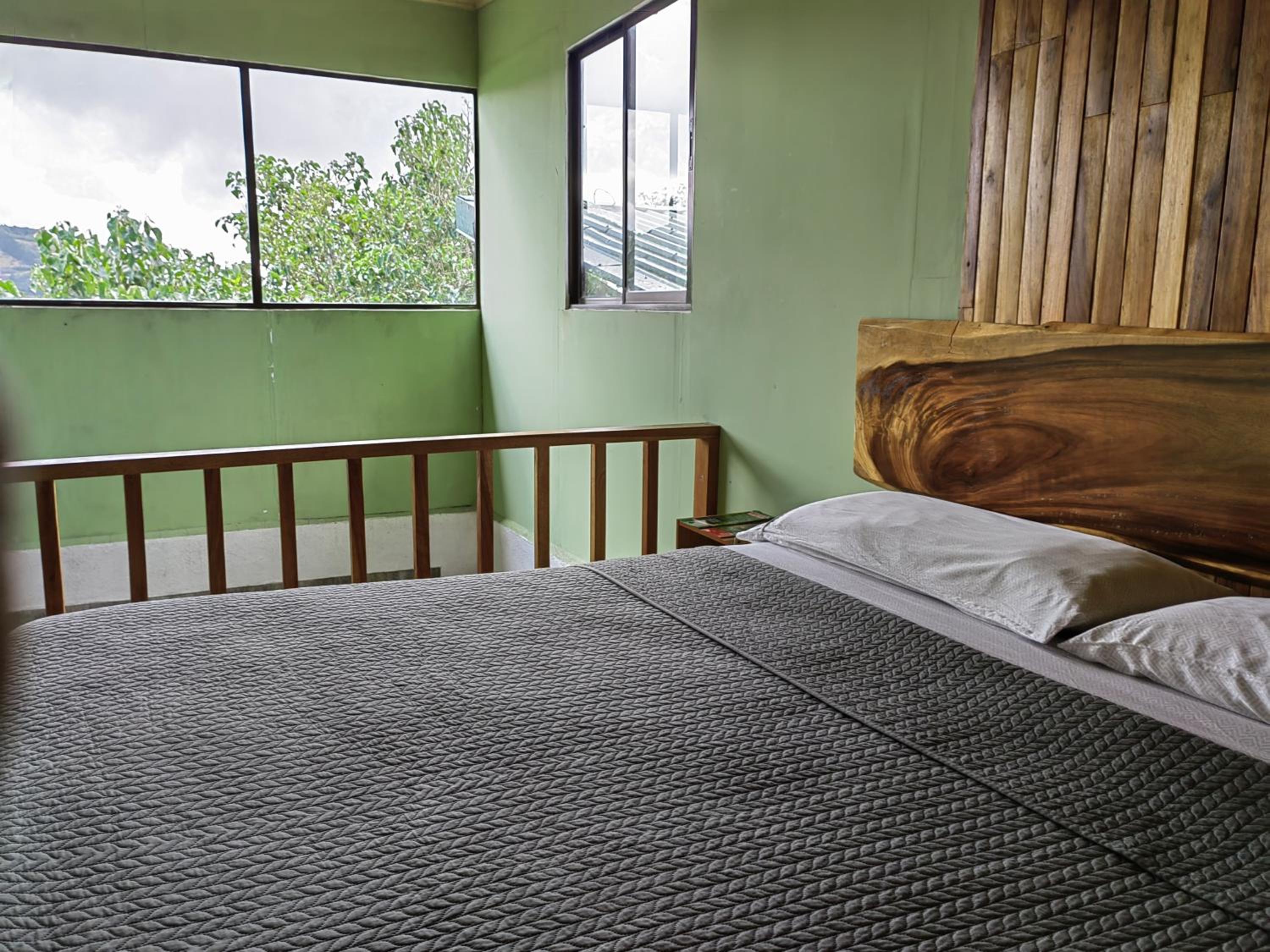 Monteverde Monte Green
