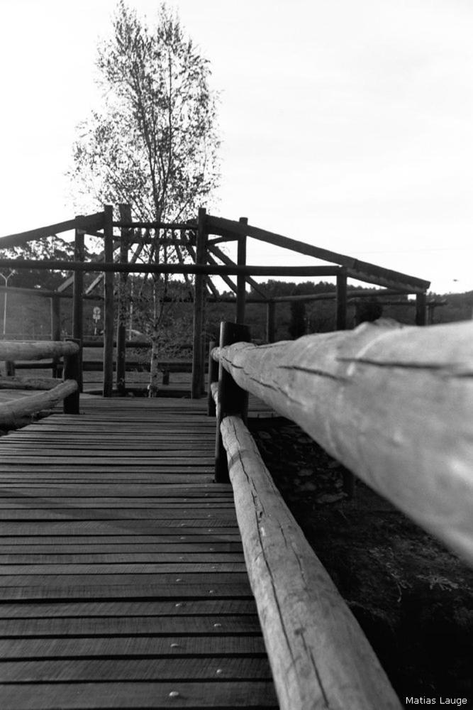 Cabañas Altos del Lago