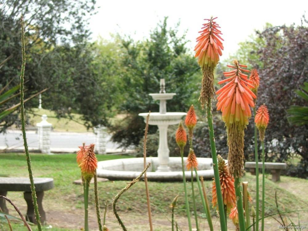 Cabañas Altos del Lago