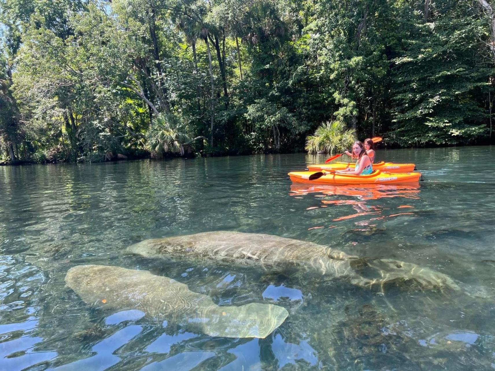 Private Tropical Waterfront Sanctuary with pool, hot tub & an island! view 4