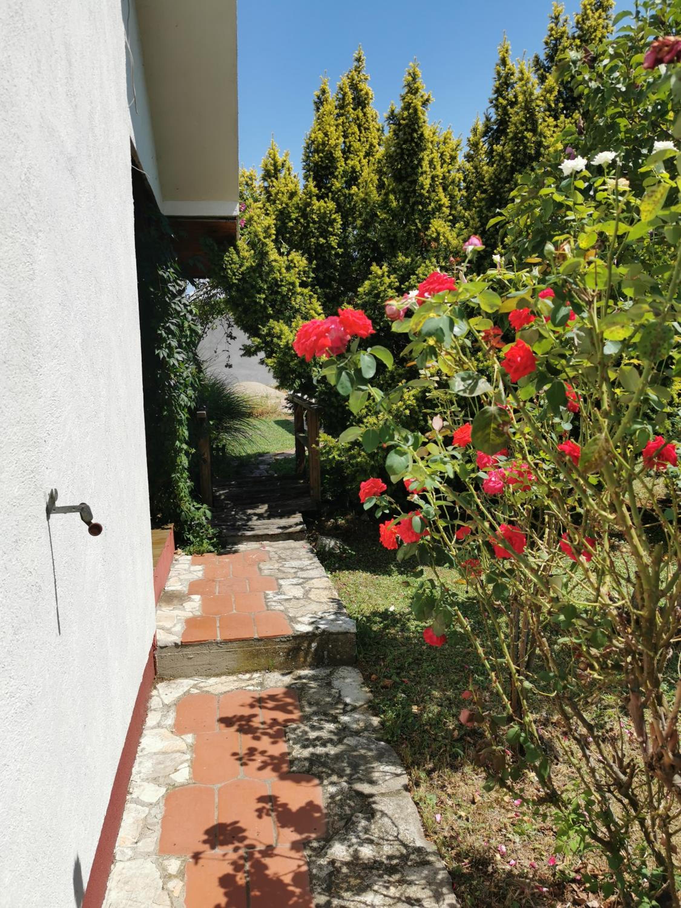 Photo 31