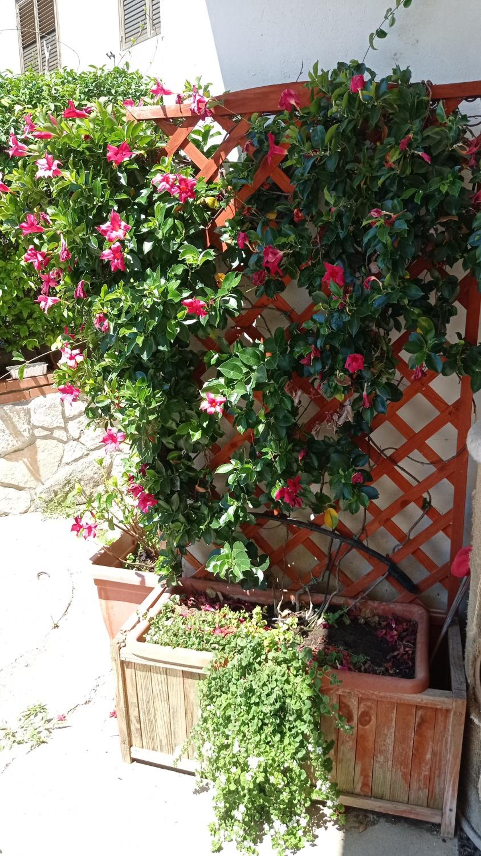 GATTI e MARE photo 3