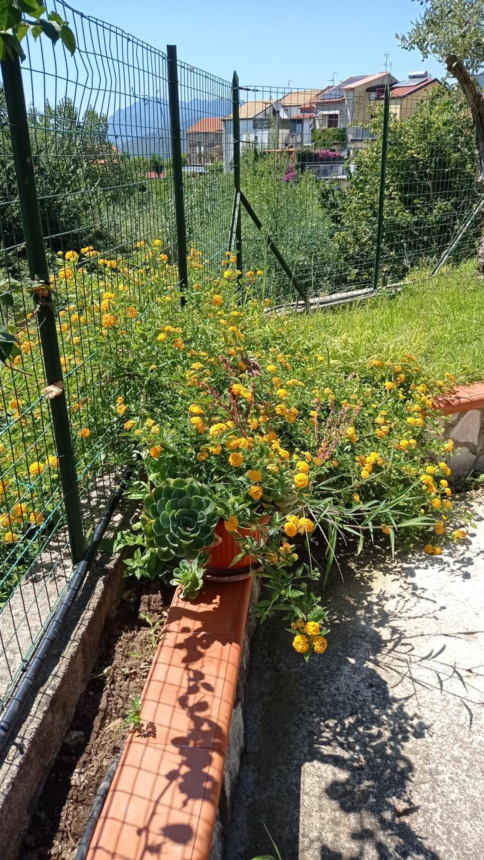 GATTI e MARE photo 4