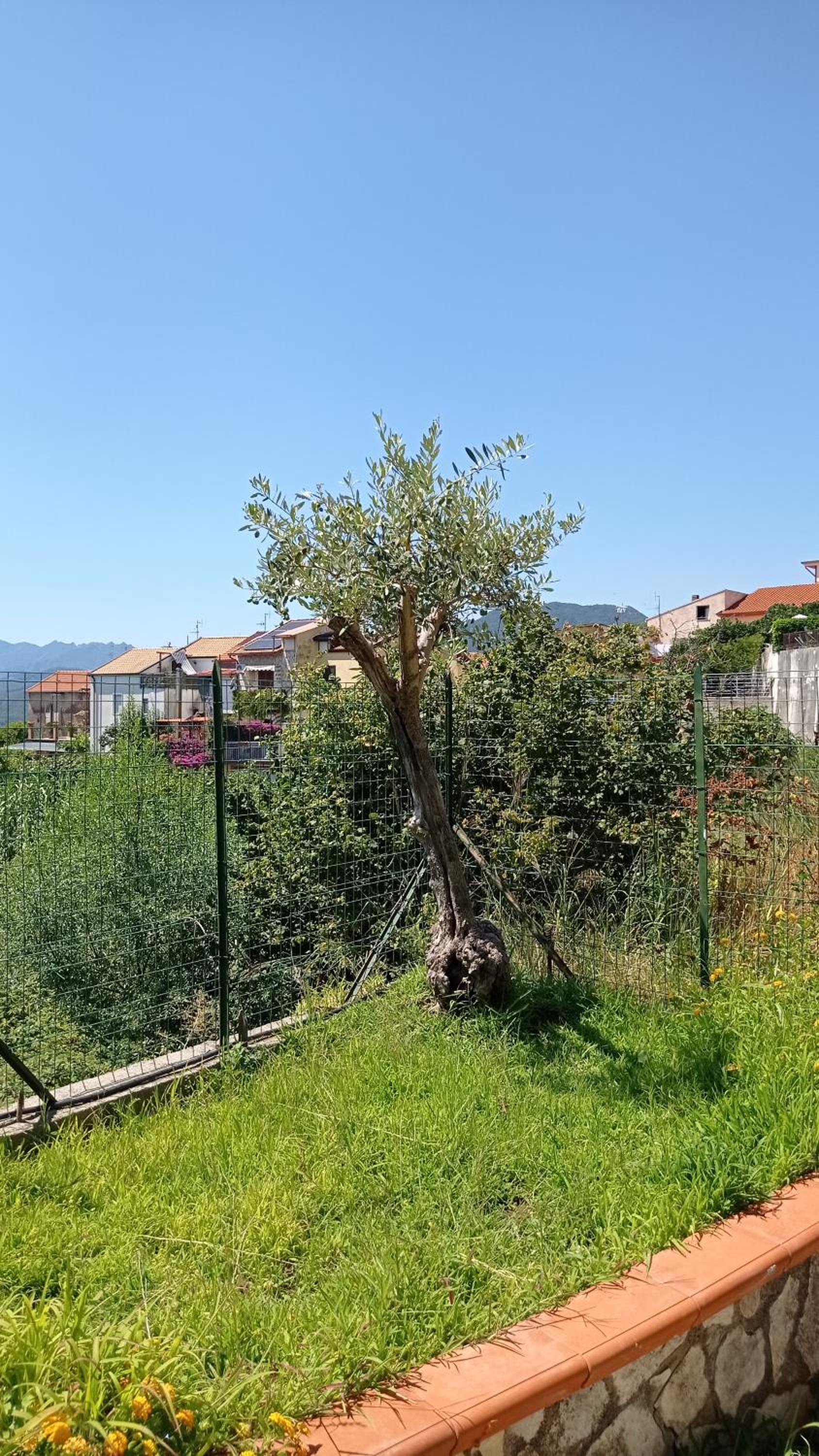 GATTI e MARE photo 5