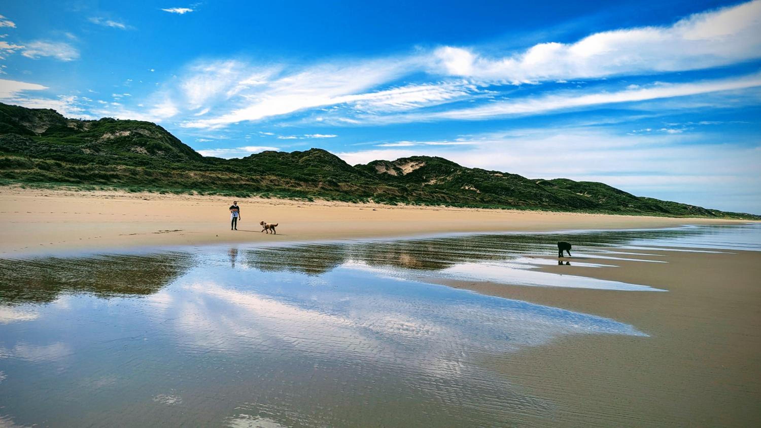 Venus Bay Blue