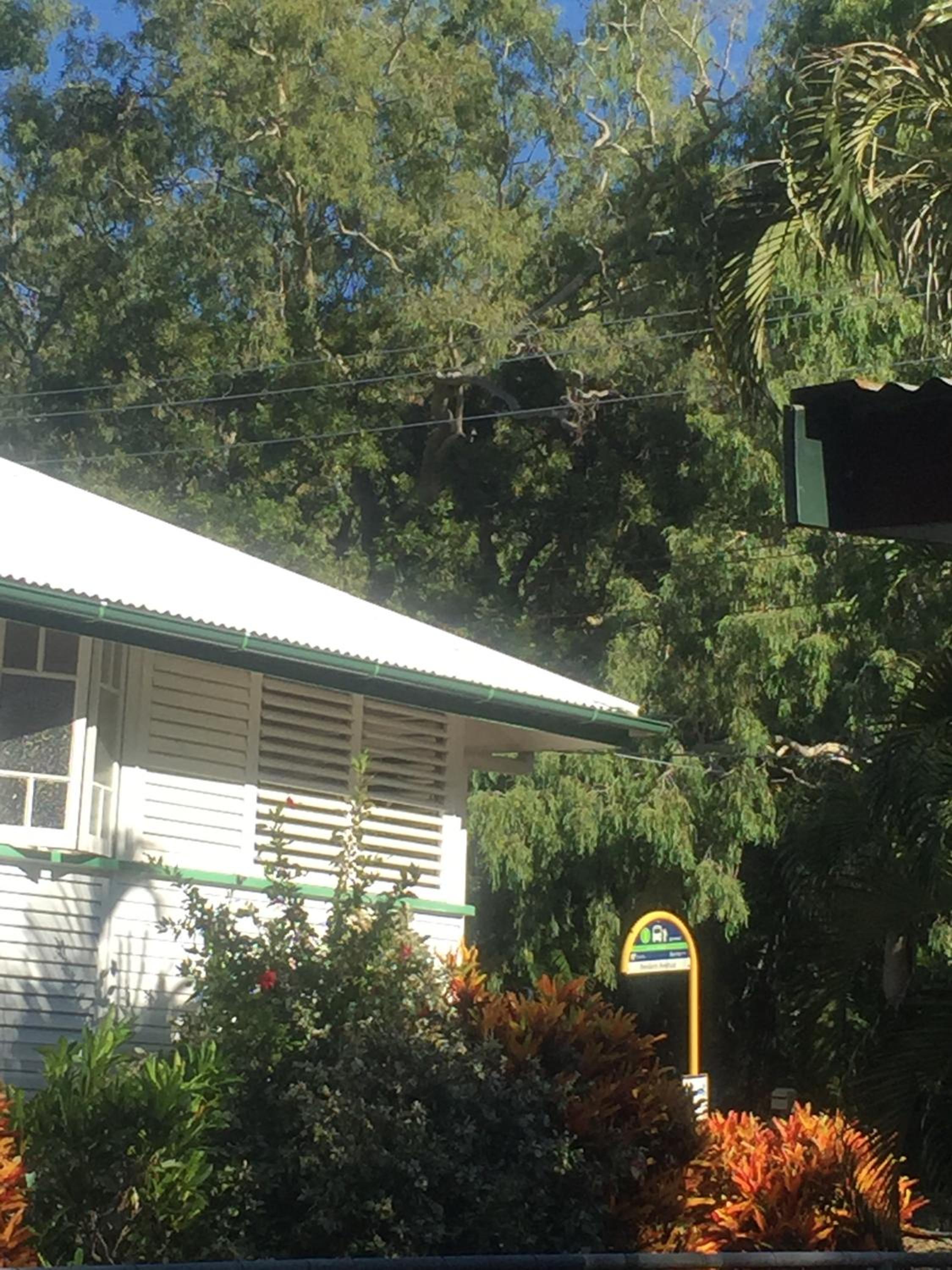 Daggoombah Holiday Home Magnetic Island