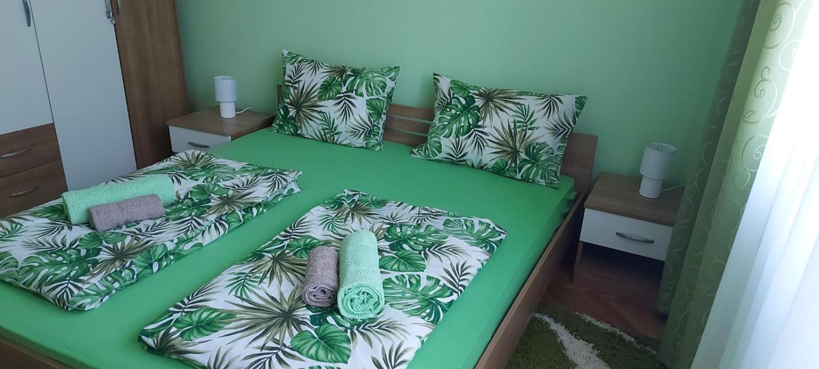 Apartman ,,Milica'' view 2