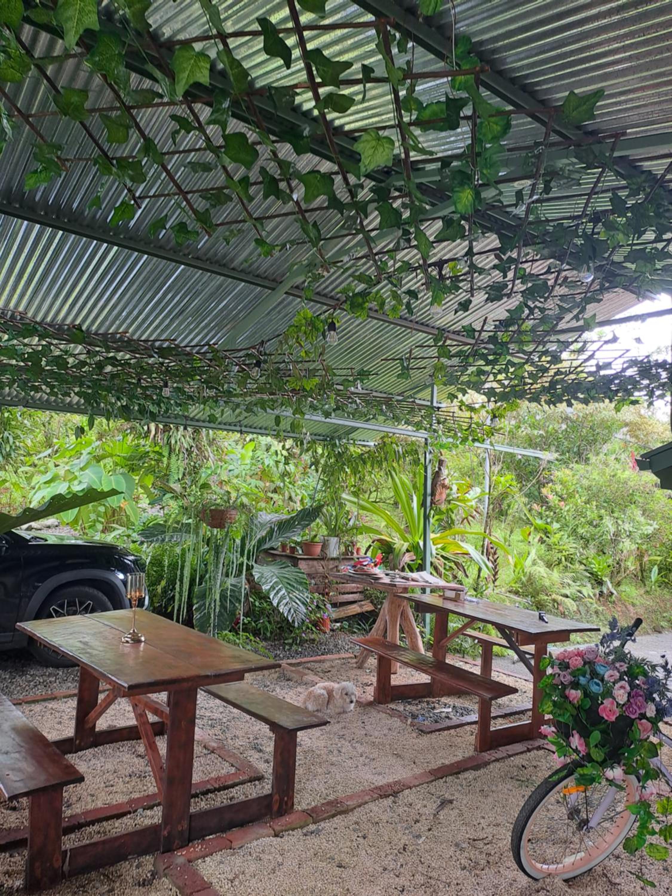 Glamping Rio Celeste Heliconia view 3