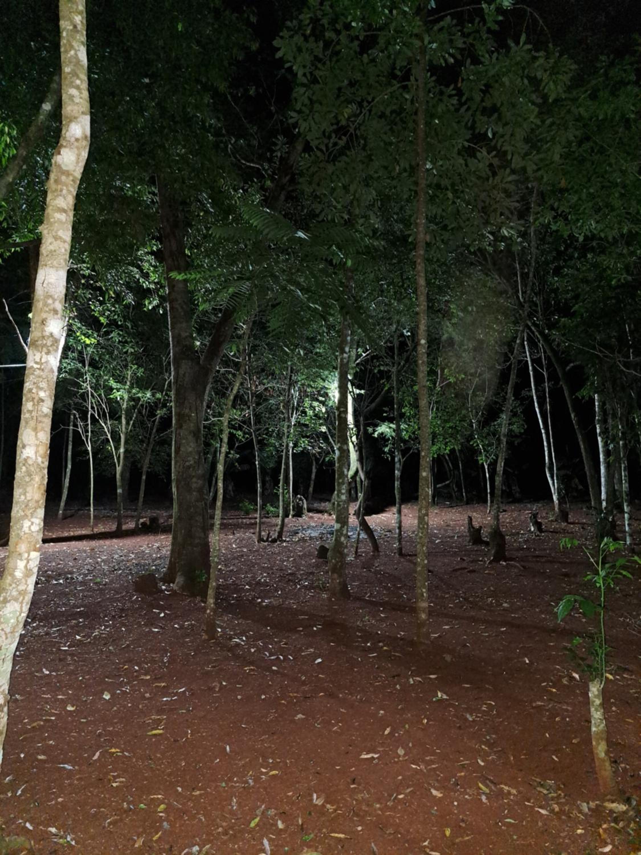 Cabañas Libertad en Misiones