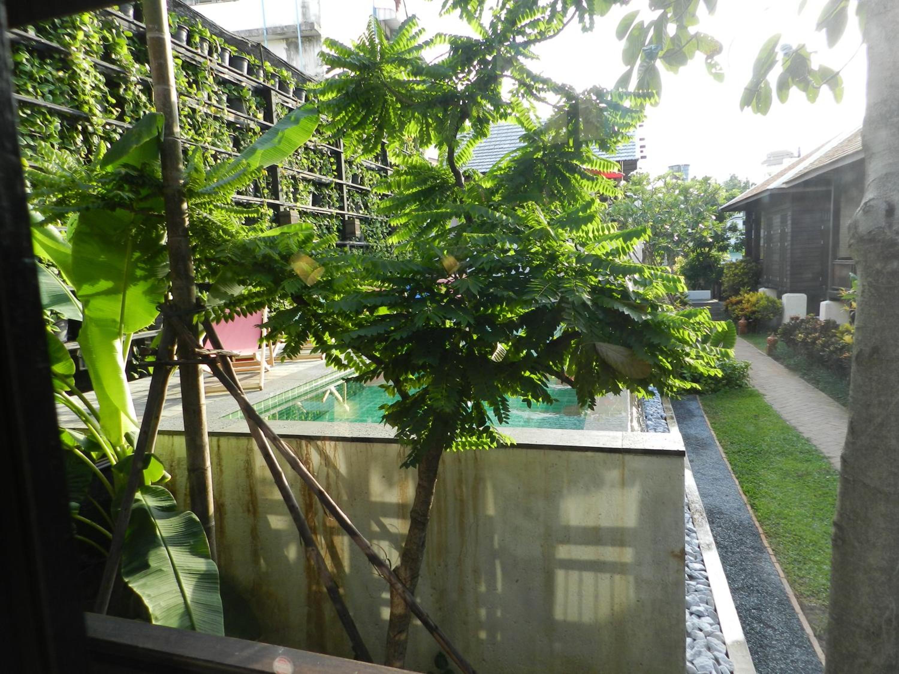 Photo 41