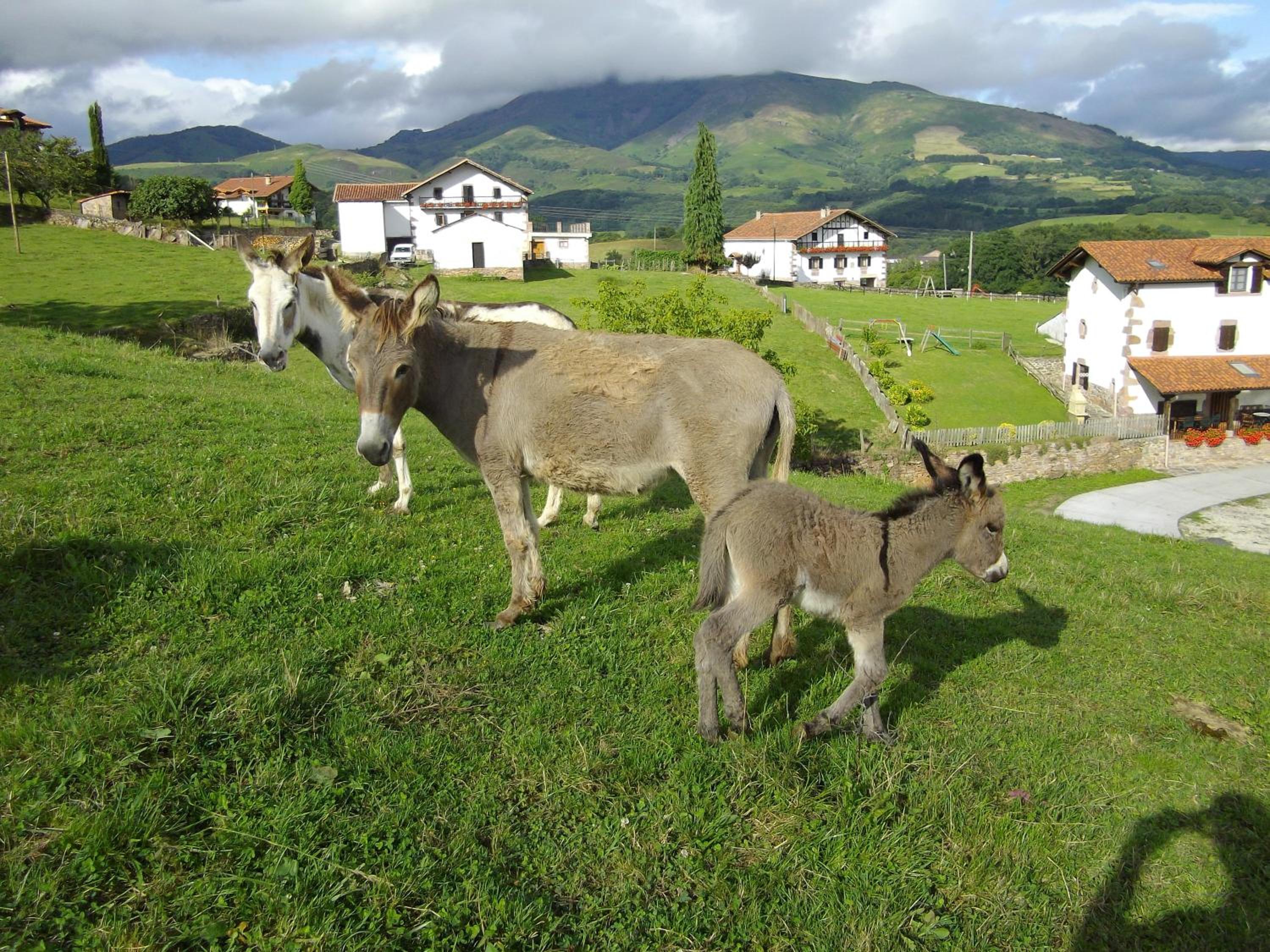 Casa Rural Gananea