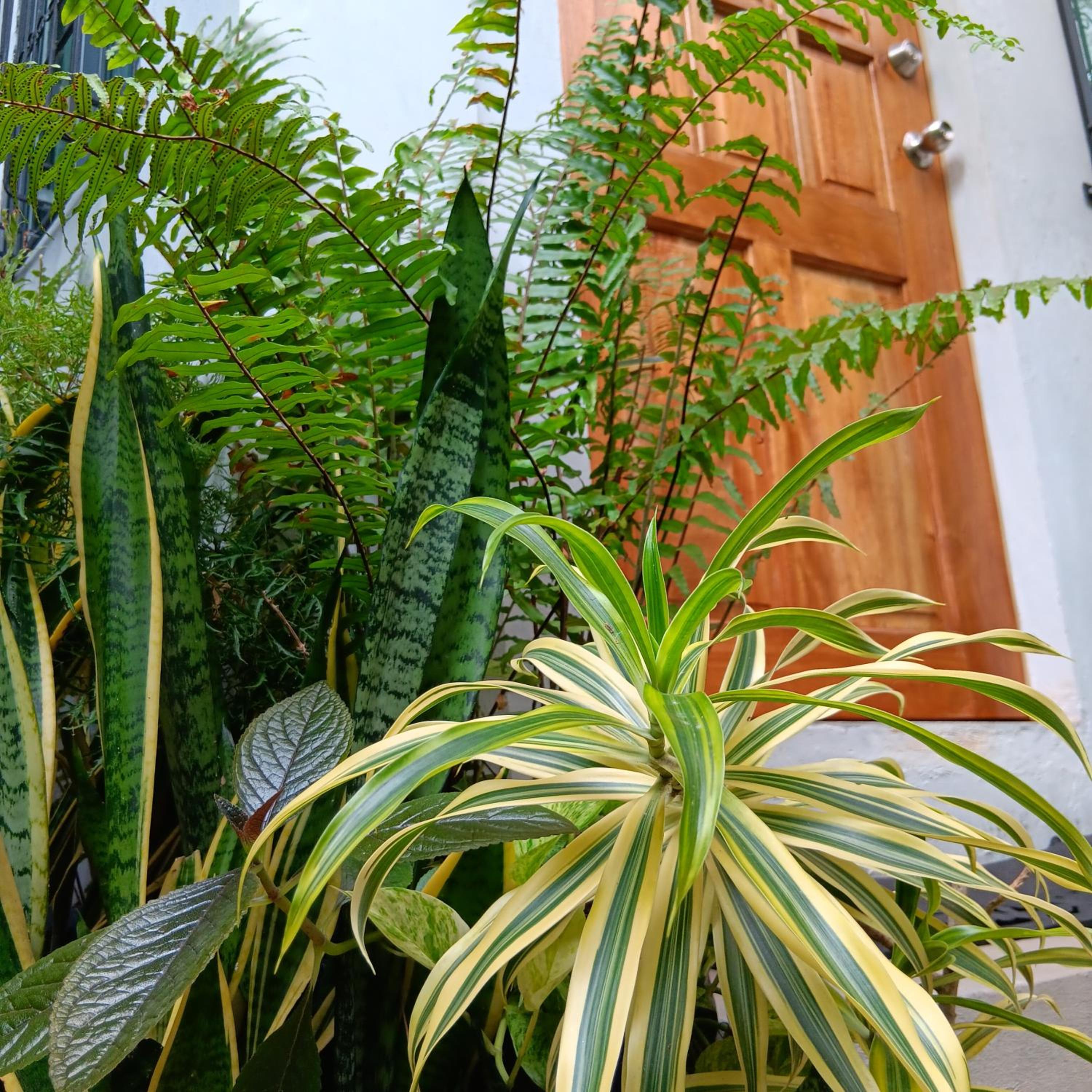 Photo 6