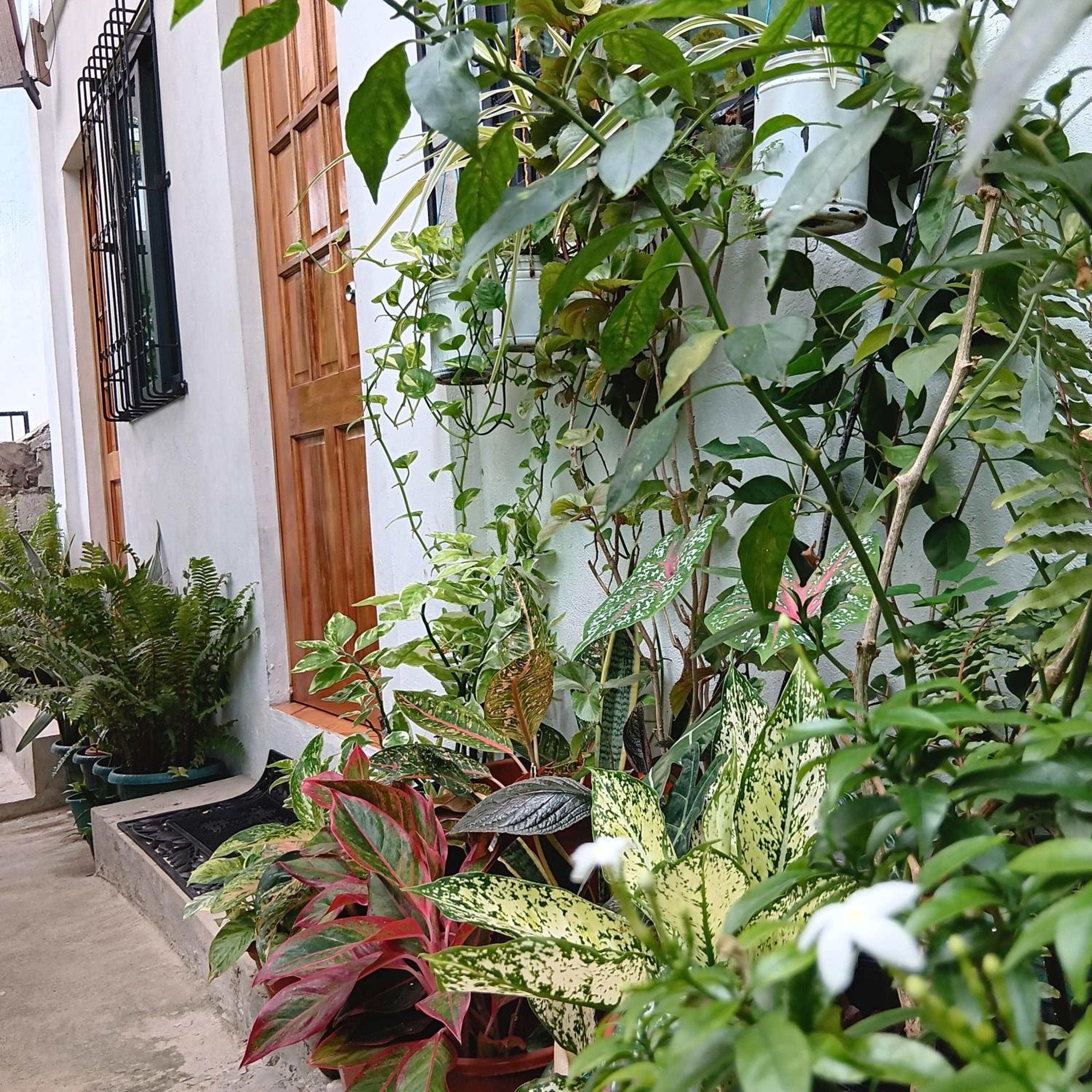 Susing Seaside Guesthouse view 5