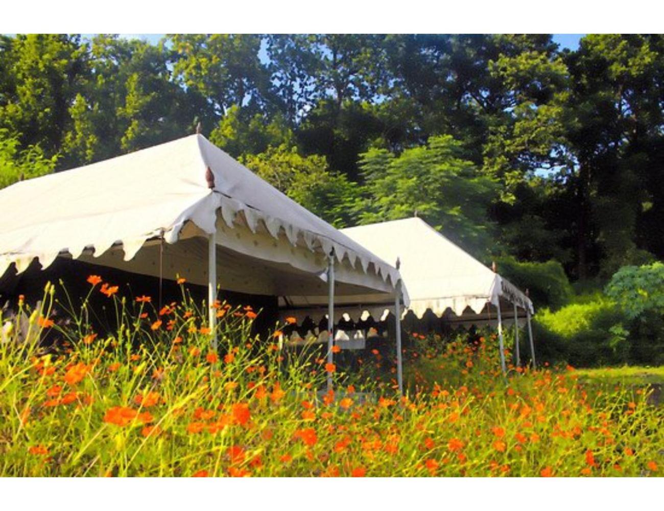 Derra Camp & Resort, Dehradun