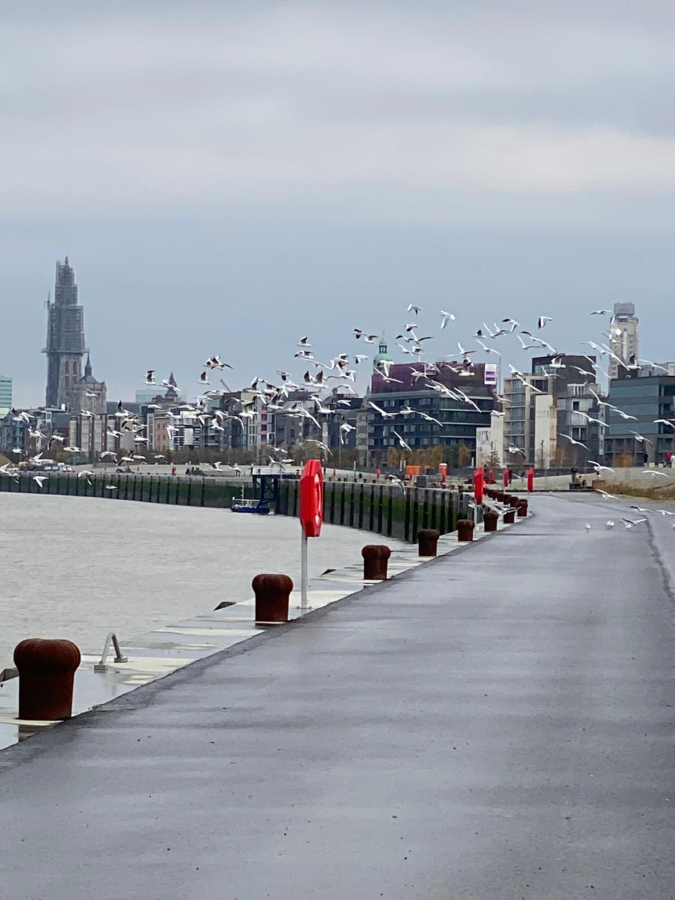 Luxe-appartement aan de Schelde