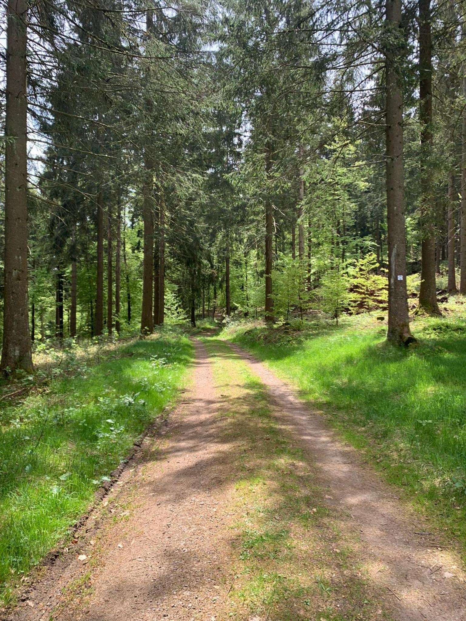 Ferienwohnung Frieda Thüringen