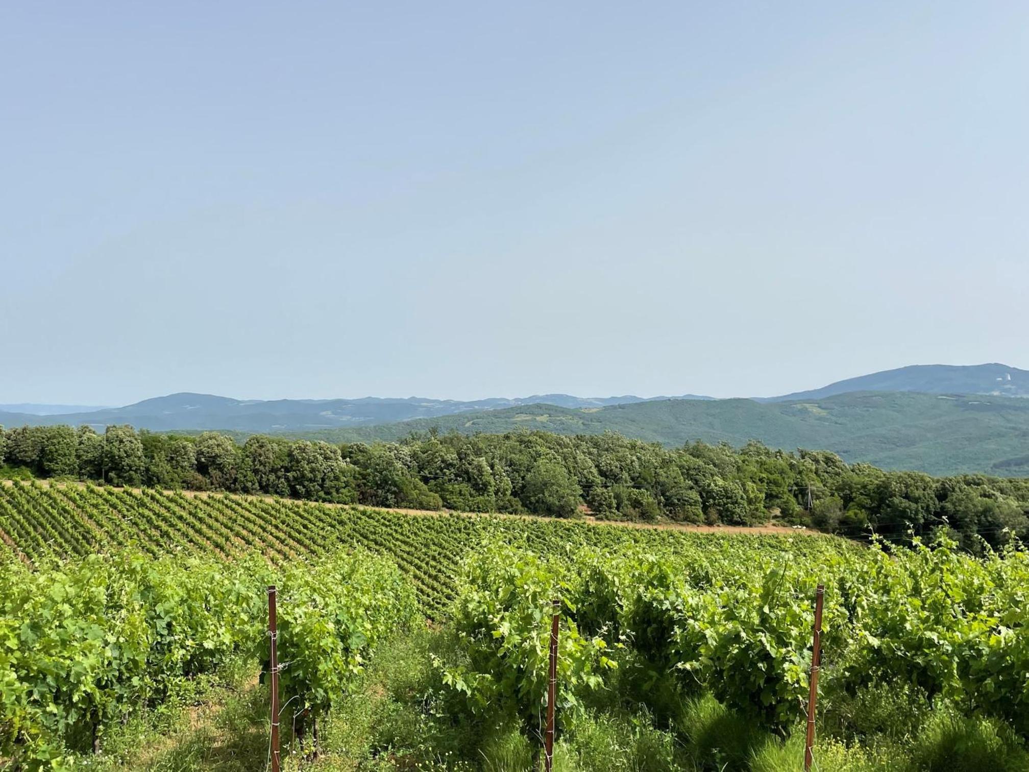 Podere Aurora photo 2