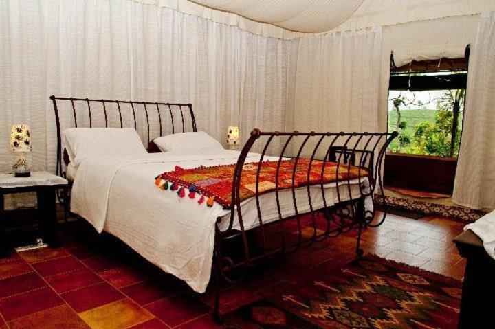 Grassroots Wayanad, Valley-view Tents