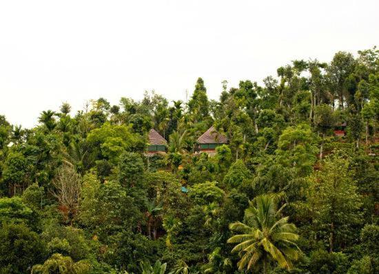 Grassroots Wayanad, Valley-view Tents