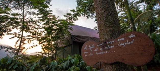 Grassroots Wayanad, Valley-view Tents