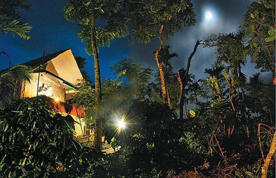 Grassroots Wayanad, Valley-view Tents