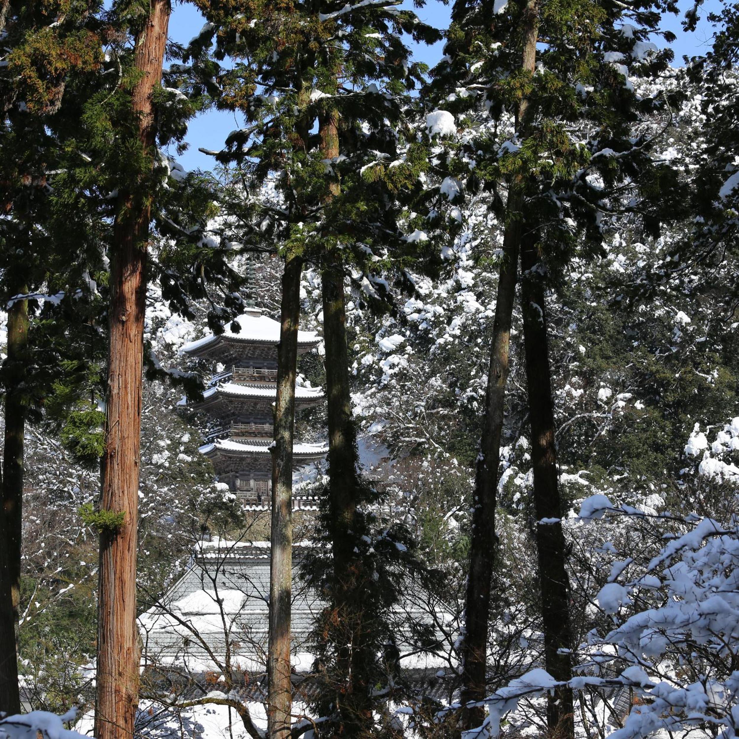 Ryokan Koyokan