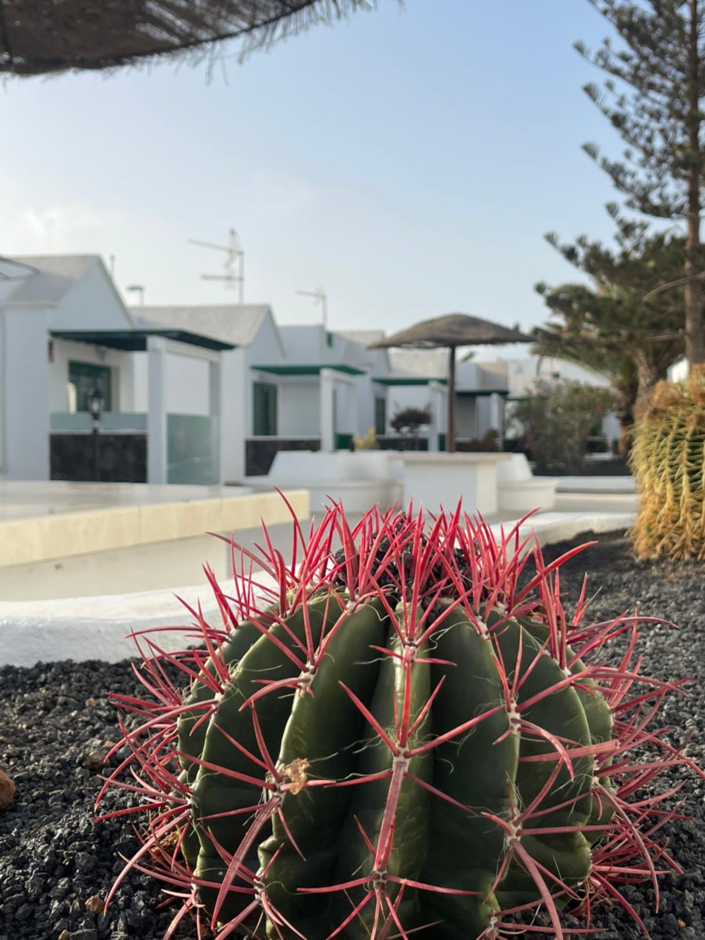 Casa Alba