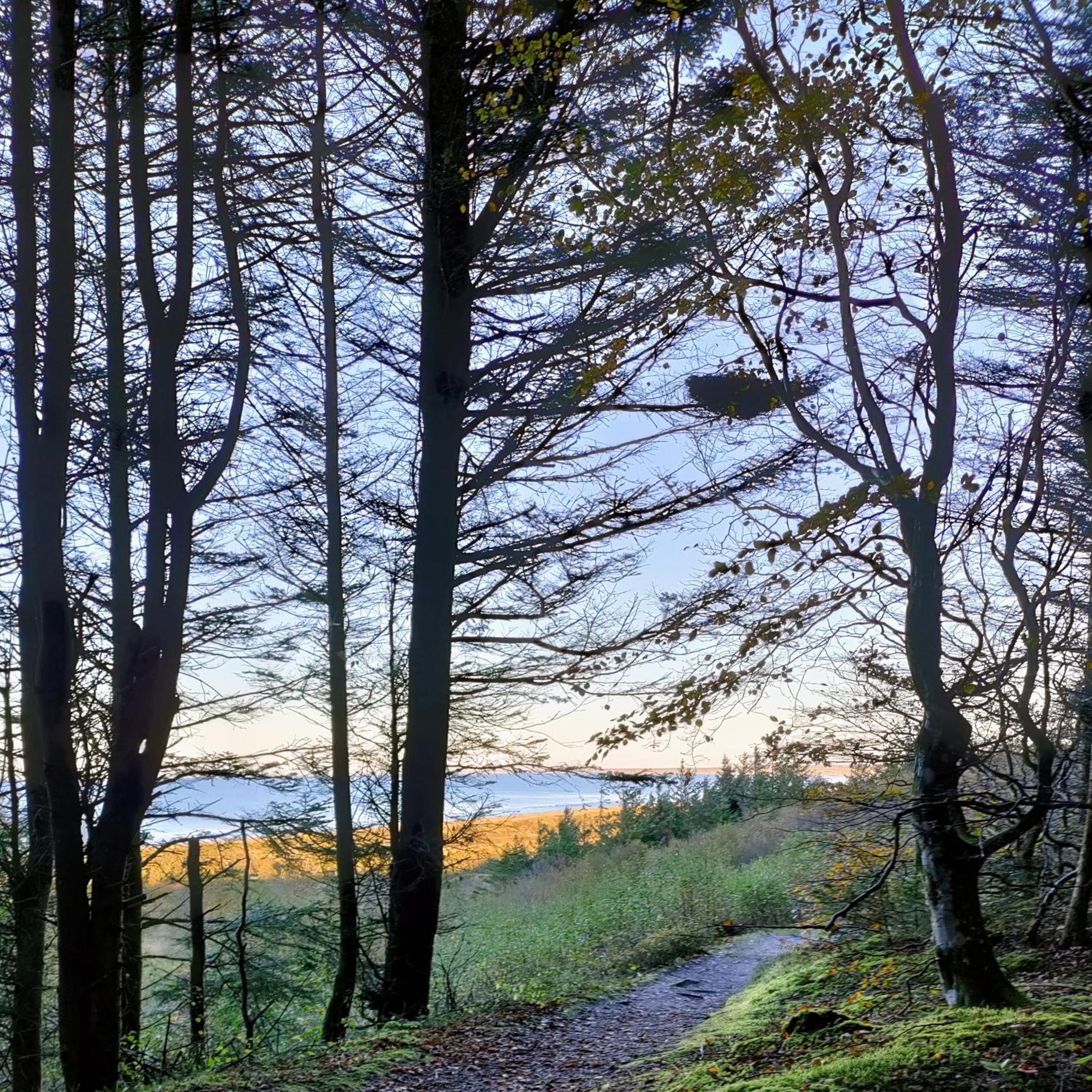 Slettegaard view 5
