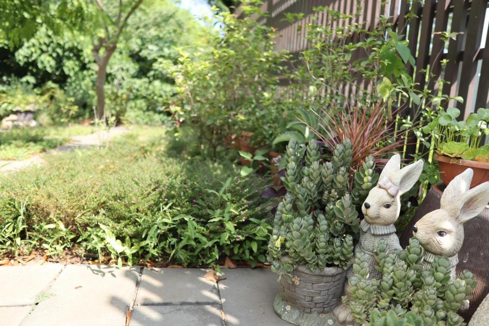 Summer Hill Homestay