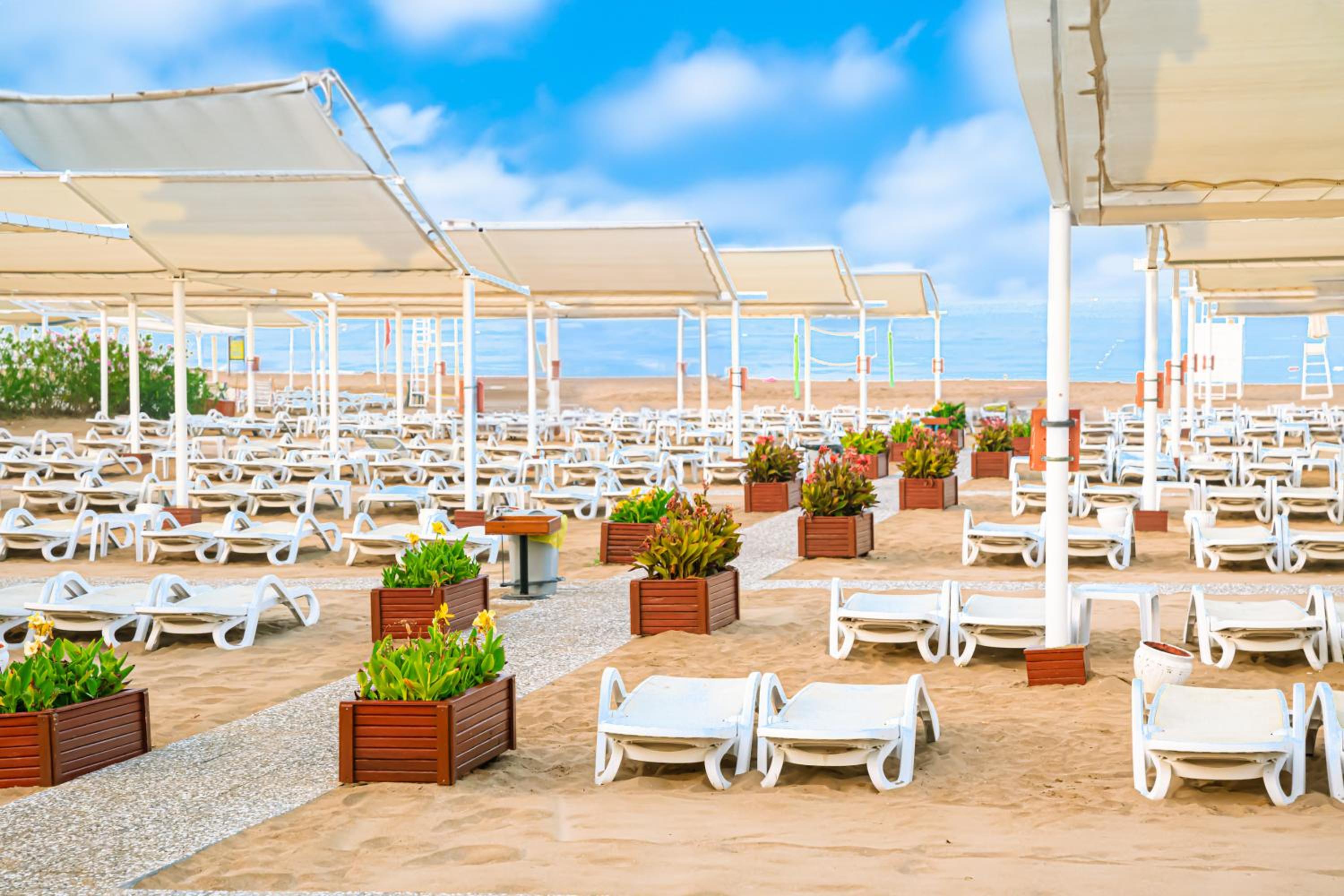 Oz Hotels Side Premium - Image 107