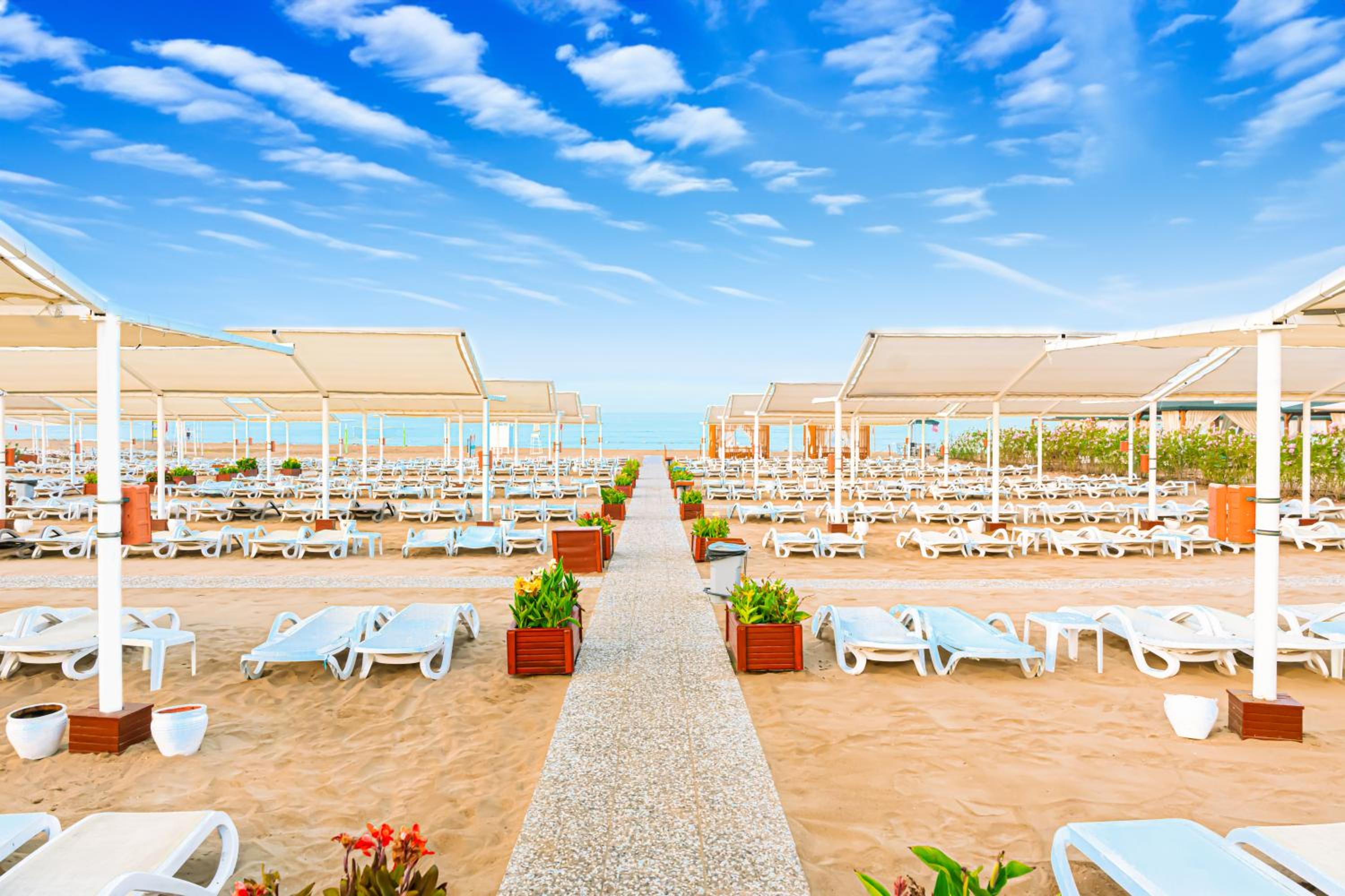 Oz Hotels Side Premium - Image 178