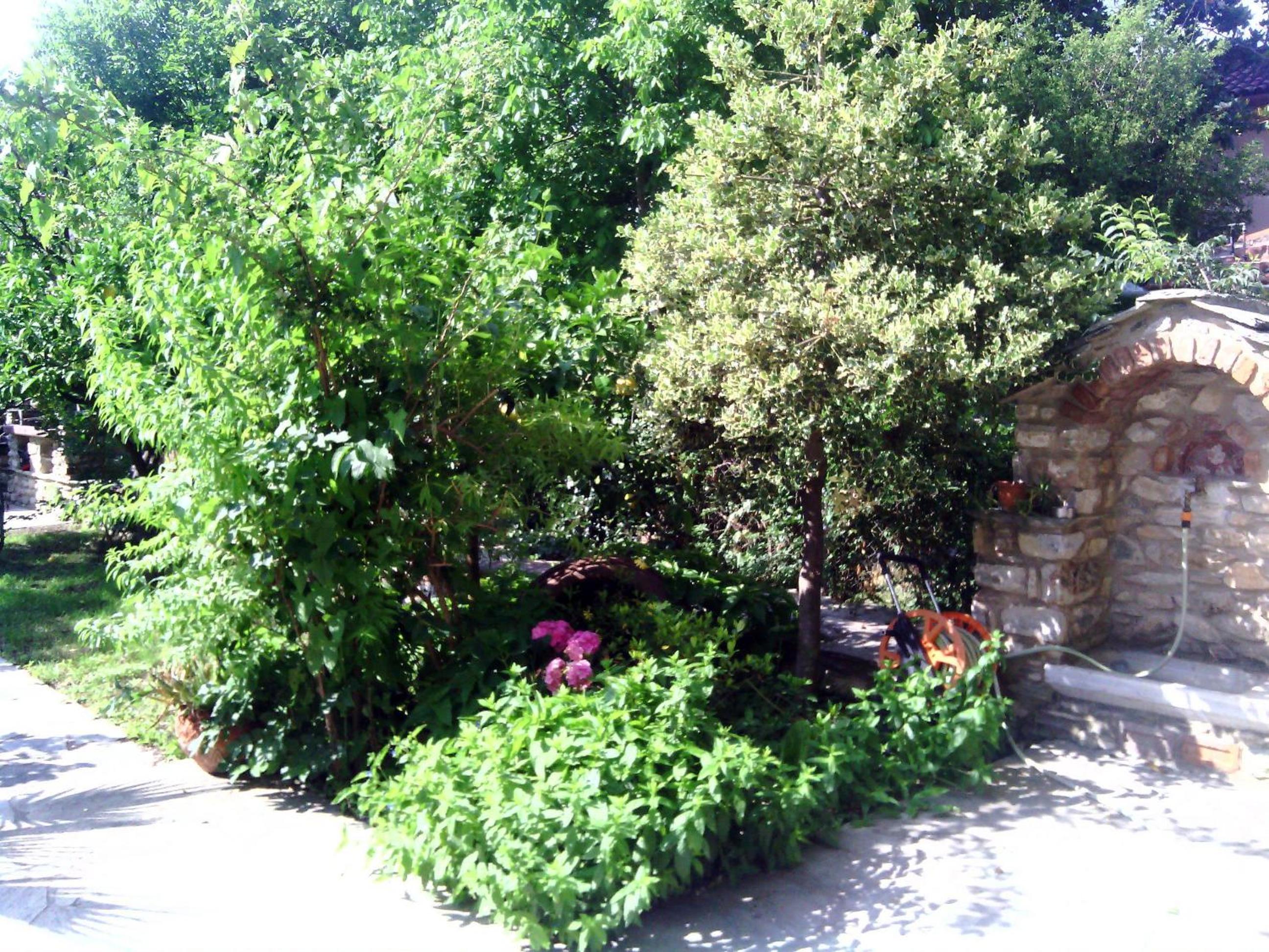 Photo 51