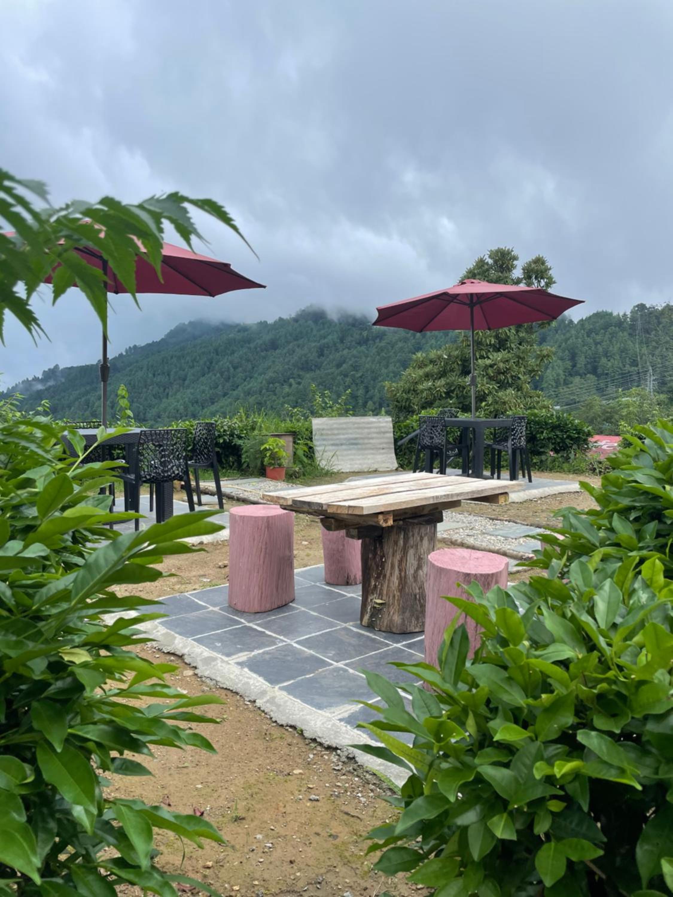 KAT RESORT PVT.LTD view 2