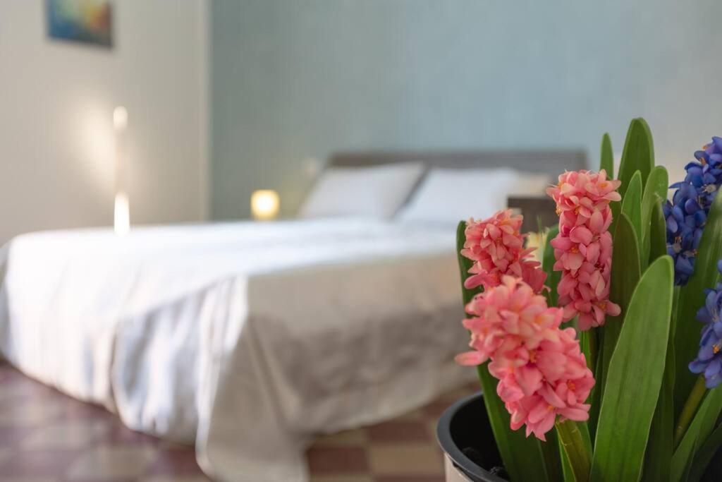 Anticitera Apartment