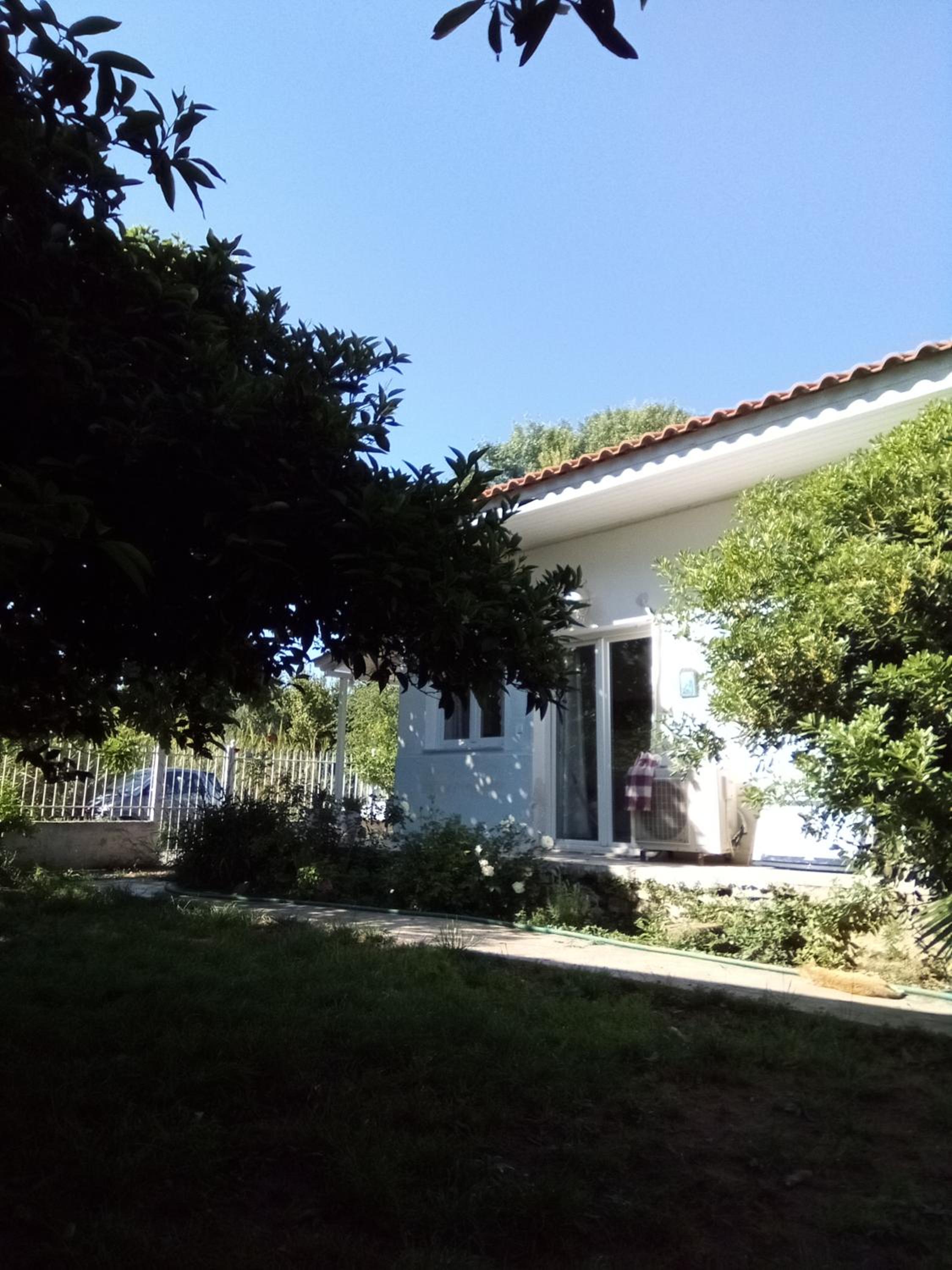 Small Vila