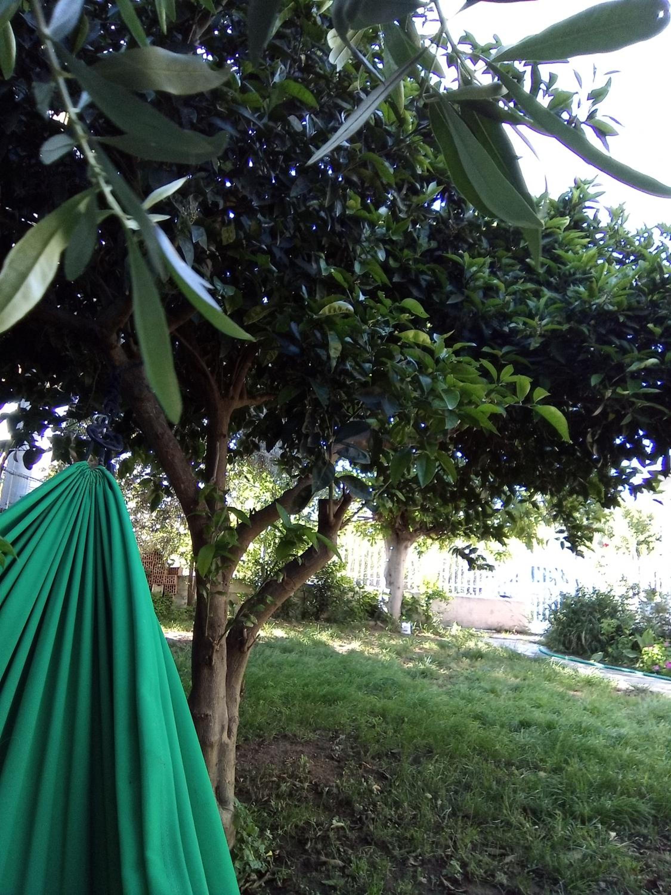 Small Vila