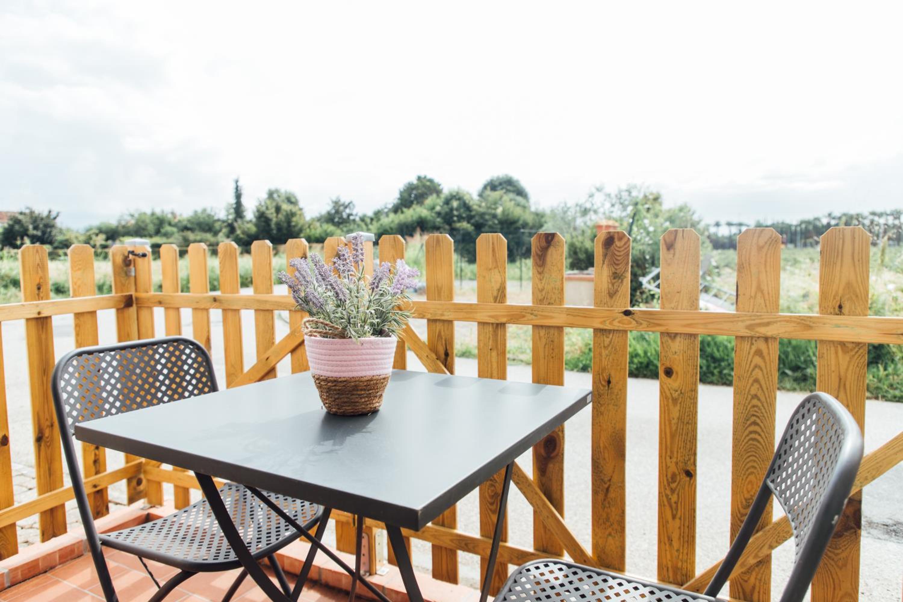 balance & terrace