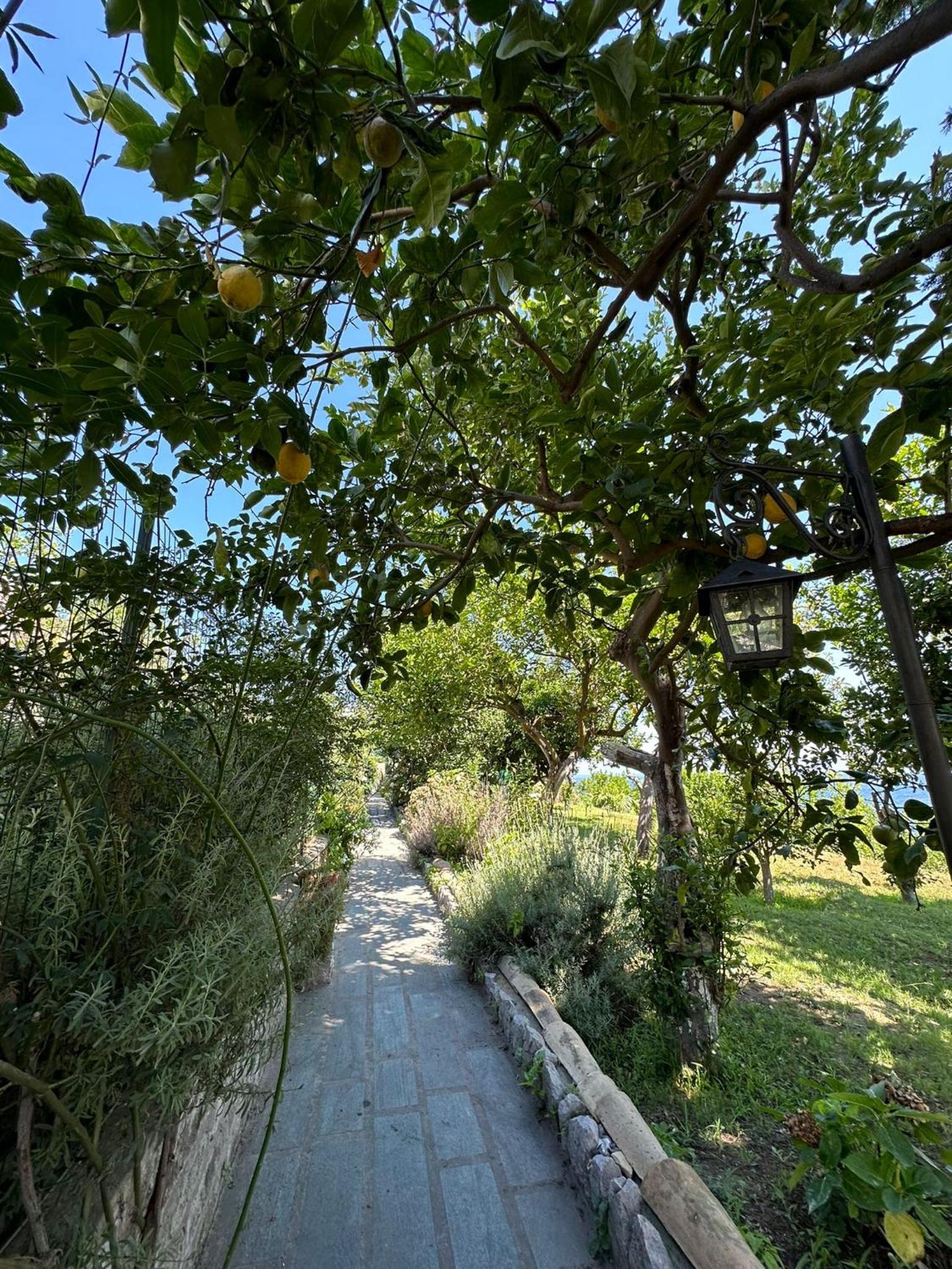 Depandance Casa Paolina view 2