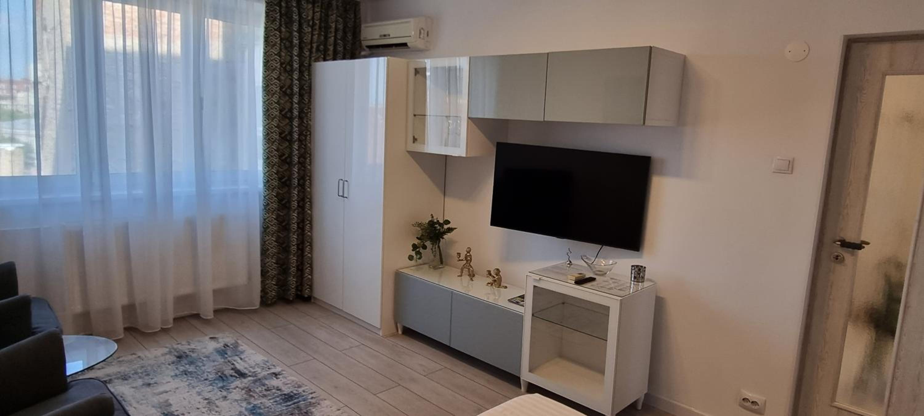 Elisabeta Studio Apartment view 2